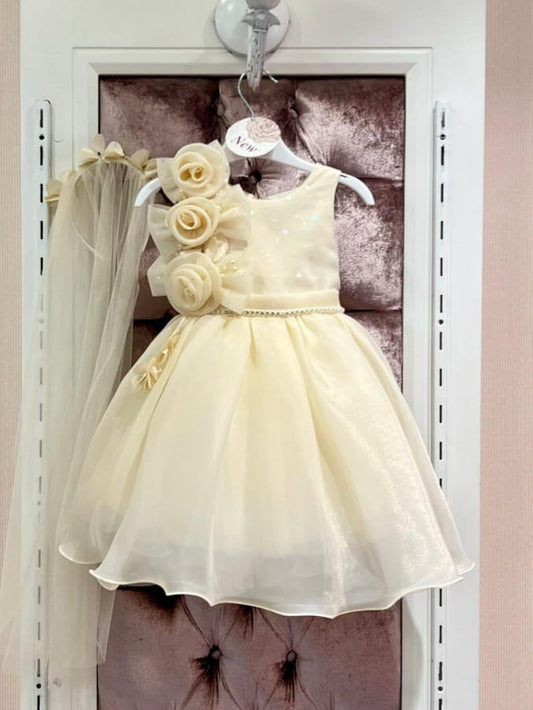 Jurk Livia - Zalmroze en Geel/Goud